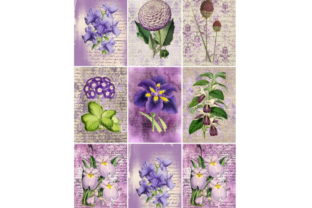Download 9 Vintage ATC Cards, Ephemera Tags - Atc Collection